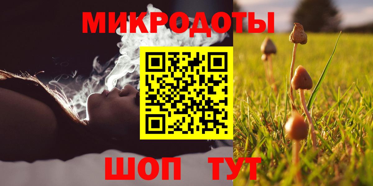 Галлюциногенные грибы Psilocybine cubensis Елец